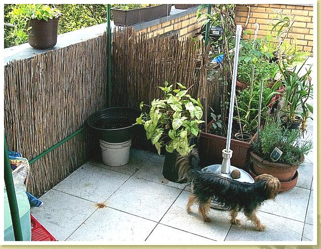 Terrasse1