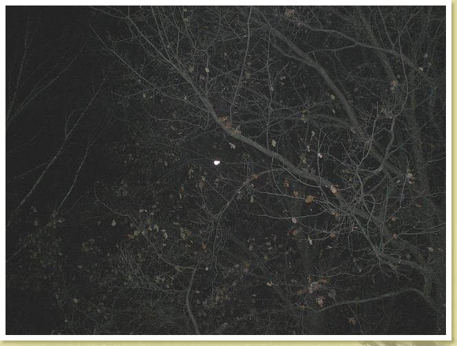 nachtvollmond1