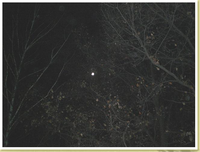 nachtvollmond2