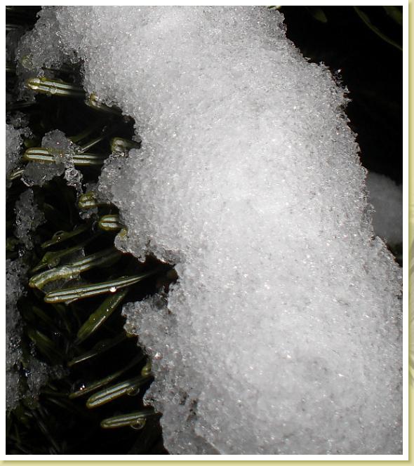 schnee09a
