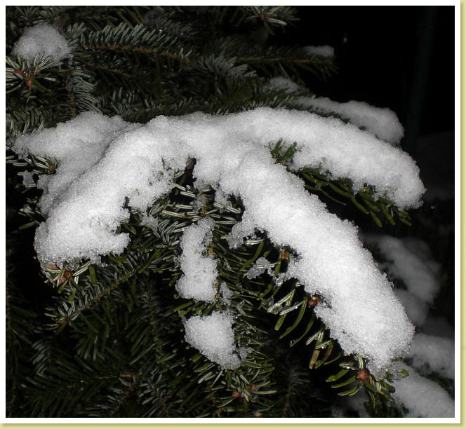 schnee09f