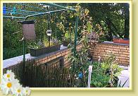 Ausblicklinks