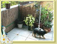 Terrasse1