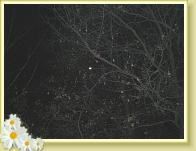 nachtvollmond1