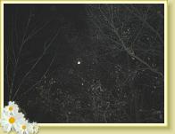 nachtvollmond2