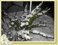 schnee09d