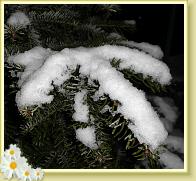 schnee09f
