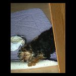 bademattezipfel1.html